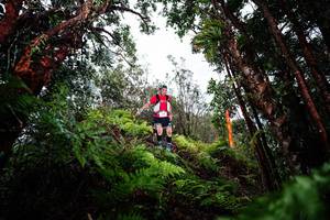 BIB: 
                            <button type="button" onclick="openModal(26203694)" class="btn btn-primary btn-sm float-right btn-popup" data-toggle="modal" data-target=".modal-high-quality">
                        <i class="fas fa-shopping-cart"></i> Add to Cart
                    </button>
                                            <button type="button" onclick="isThisMe(26203694, true)" class="btn btn-success btn-sm float-right btn-popup btn-isme hidden" data-toggle="tooltip" data-placement="bottom" title="นี่คือรูปของคุณใช่ไหม คลิกที่นี่เพื่อเอาเข้าอัลบั้ม">
                        <i class="fas fa-plus"></i> Add to album
                    </button>
                    <button type="button" onclick="isThisMe(26203694, false)" class="btn btn-warning btn-sm float-right btn-popup btn-isnotme hidden">
                        <i class="fas fa-ban"></i> Remove from album
                    </button>